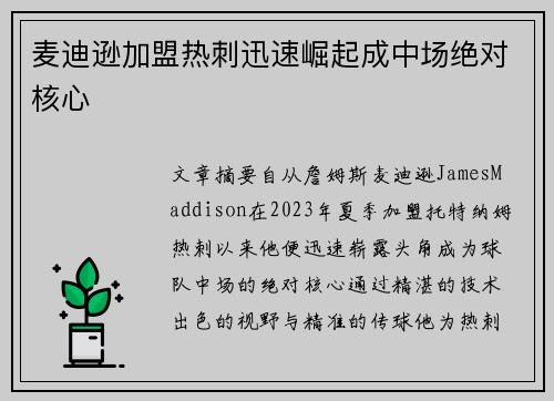 麦迪逊加盟热刺迅速崛起成中场绝对核心 麦迪逊加盟热刺迅速崛起成中场绝对核心